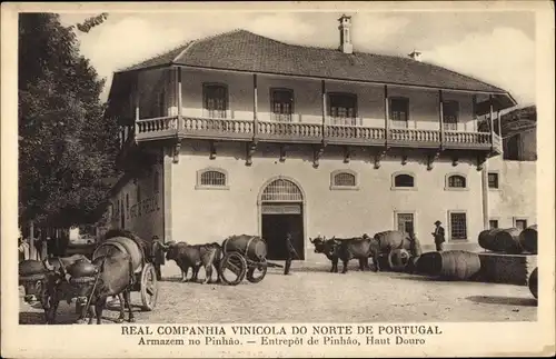 Ak Pinhão Portugal, Real Companiha Vinicola do notre de Portugal, Entrepôt de Pinhao, Haut Douro