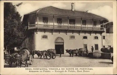 Ak Pinhão Portugal, Real Companiha Vinicola do notre de Portugal, Entrepôt de Pinhao, Haut Douro