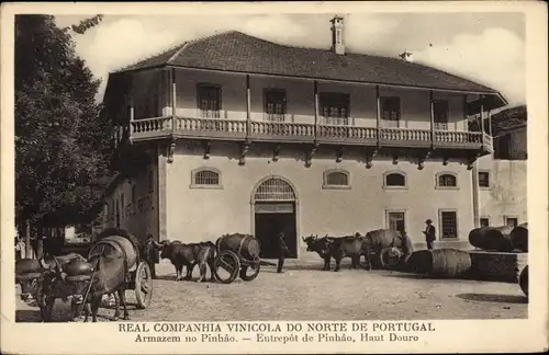 Ak Pinhão Portugal, Real Companiha Vinicola do notre de Portugal, Entrepôt de Pinhao, Haut Douro