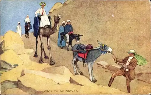 Künstler Ak Humour in Egypt, Not to be moved, Donkey
