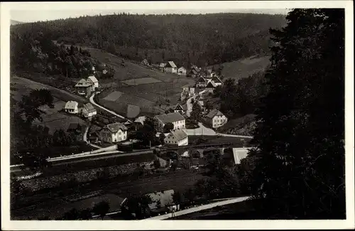 Ak Oberlochmühle Deutschneudorf Erzgebirge, Gesamtansicht