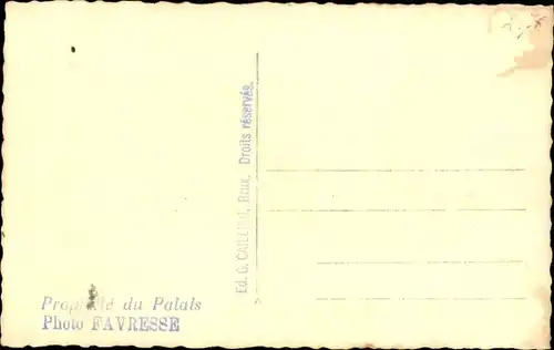 Foto Ak Adel Belgien, Prinzen mit Hund im Ruderboot