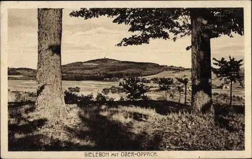 Ak Ober Oppach, Blick vom Bieleboh, Felder, Häuser