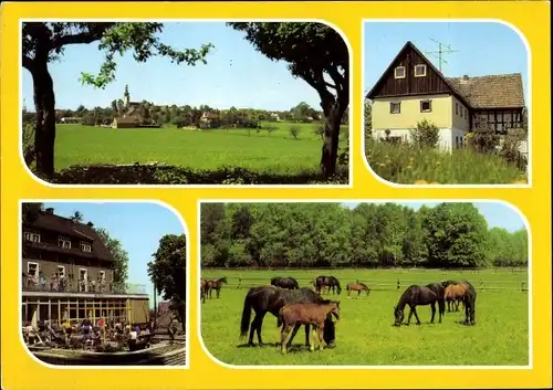 Ak Plotzen Hochkirch in Sachsen,  Pferde, Panorama vom Ort