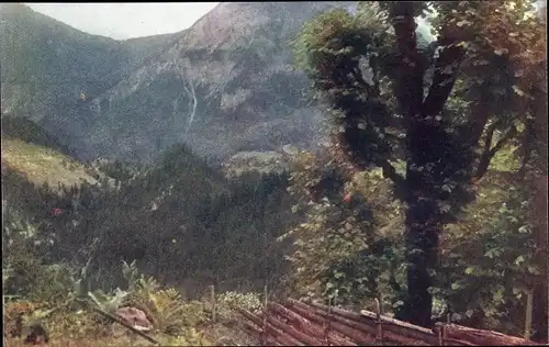 Ak Kärnten Österreich, Motiv im Zelltal