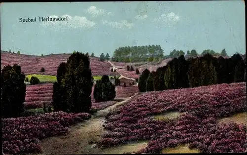 Ak Heidelandschaft, Fehldruck Seebad Heringsdorf