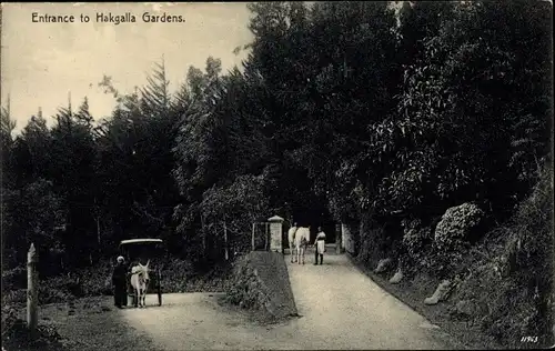 Ak Sri Lanka, Entrance to Hakgalla Gardens