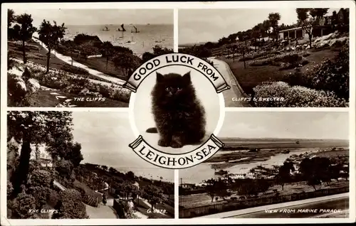 Ak Leigh on Sea Essex England, The Cliffs, Cliffs & Shelter, View from Marine Parade, Katze
