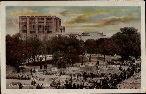 Ak Norwich Norfolk England, Castle and Cattle Market