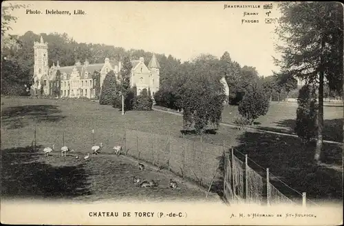 Ak Torcy Pas de Calais, Chateau de Torcy