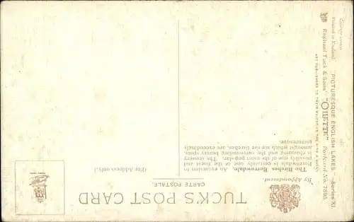 Künstler Ak Borrowdale North West, The Birches