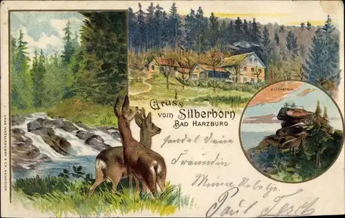 Litho Bad Harzburg am Harz, Gruß vom Silberborn, Rehe, Elfenstein