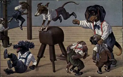 Künstler Ak Thiele, Arthur, Vermenschlichte Hunde beim Turnen, Dackel, Bocksprung