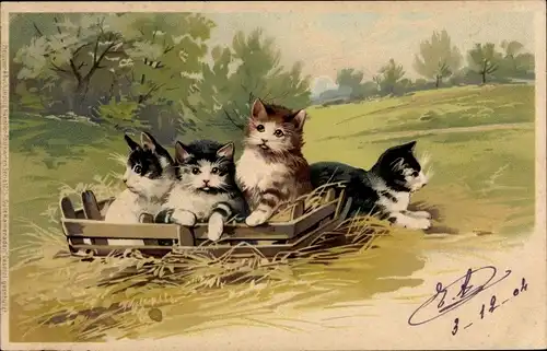 Litho Vier Kätzchen, Katzen