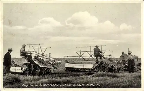 Ak Nordholland Niederlande, Oogsten in de W. M. Polder met een dubbele Zelfbinder