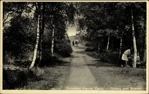 Ak Ostseebad Prerow auf dem Darß, Ostweg zum Strand