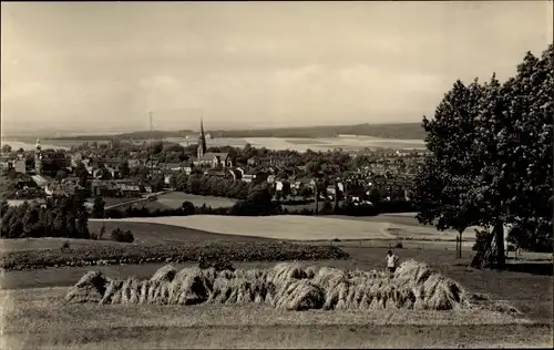 Ak Falkenstein im Vogtland, Panorama, Getreidegarben