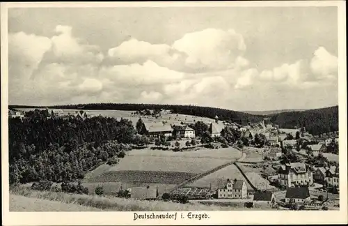 Ak Deutschneudorf im Erzgebirge, Panorama