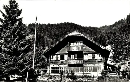 Ak Villars sur Chamby Kt. Waadt, Vue sur le Chalet Frateco