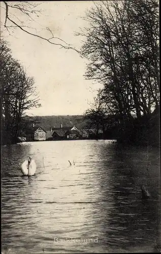 Ak Viborg Dänemark, Baekkelund, Schwan