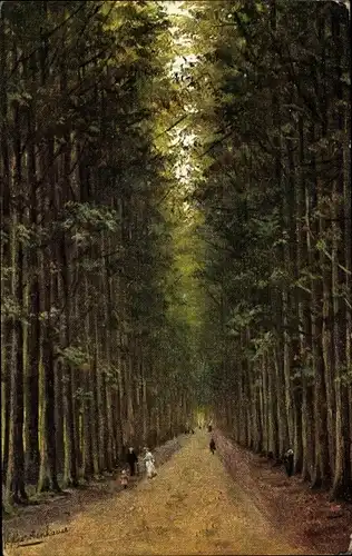 Künstler Ak Gerstenhauer, Johann Georg, niederländisches Motiv, Straße durch einen Wald