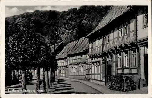 Ak Stolberg im Harz, Rittergasse, Fachwerkhäuser, Allee