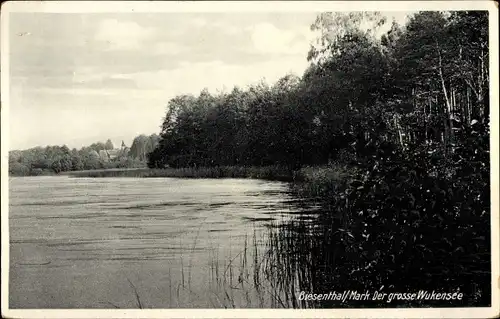 Ak Biesenthal in der Mark, Der große Wukensee