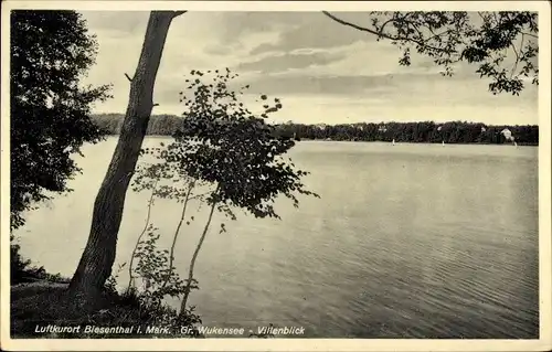 Ak Biesenthal in der Mark, Großer Wukensee, Villenblick