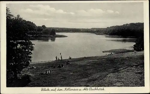 Ak Alt Buchhorst Grünheide in der Mark, Blick auf den Möllensee