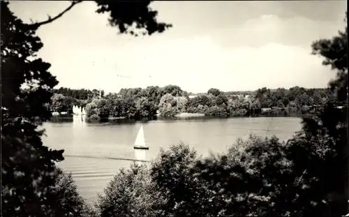 Ak Goyatz Schwielochsee in der Niederlausitz, Blick zum Seglerhafen, Panorama