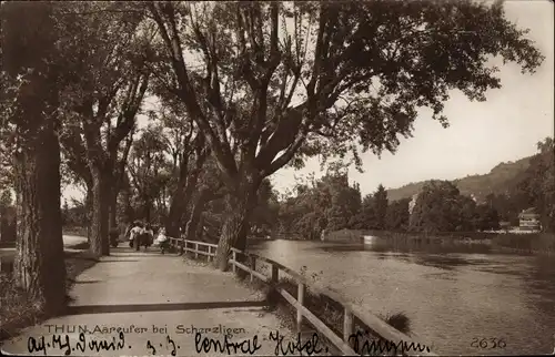 Ak Scherzligen Strättligen Thun Kt. Bern Schweiz, Partie am Aareufer