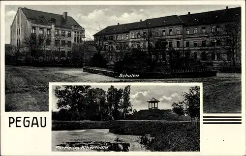 Ak Pegau in Sachsen, Schulen, Alberthain