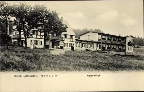 Ak Oberbärenburg Altenberg im Erzgebirge, Ansicht vom Helenenhof