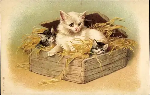 Litho Katzenmutter mit Kindern in einer Holzkiste