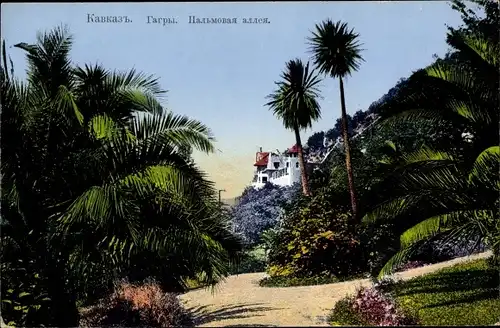 Ak Gagry Abchasien Georgien, Palmenallee