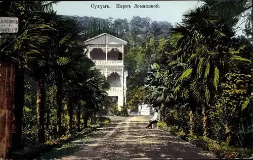 Ak Sochumi Georgien, Parc Lomaquine, Palmenallee