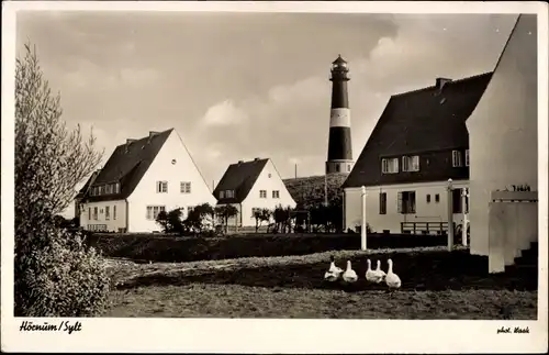 Ak Hörnum auf Sylt, Nordseebad, Hausansichten, Leuchtturm, Gänse