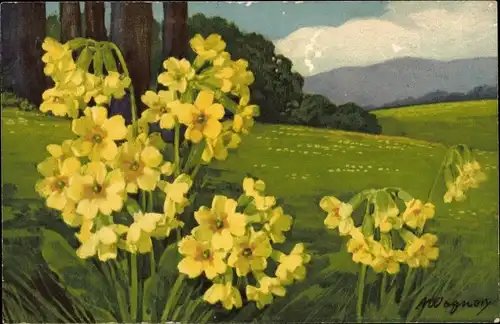 Künstler Ak Wagner, A., Schlüsselblumen auf einer Wiese