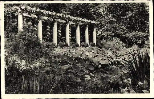 Ak Legnica Liegnitz Schlesien, Im Palmengarten