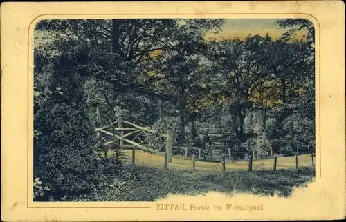 Ak Zittau in der Oberlausitz, Partie im Weinaupark, Vegetation