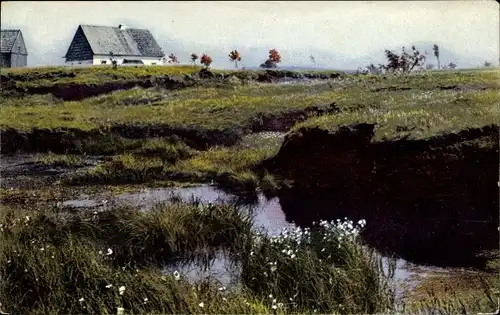 Ak Rübenau Marienberg, Hochmoor, Nenke und Ostermaier Serie I Nr. 107