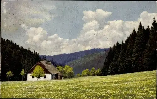 Ak Marienberg im Erzgebirge, Schwarzwassertal, Haus