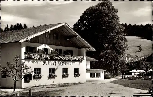 Ak Hammer Siegsdorf in Oberbayern, Gasthof-Pension Hörterer