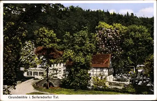 Ak Liegau Augustusbad Radeberg in Sachsen, Grundmühle, Wald