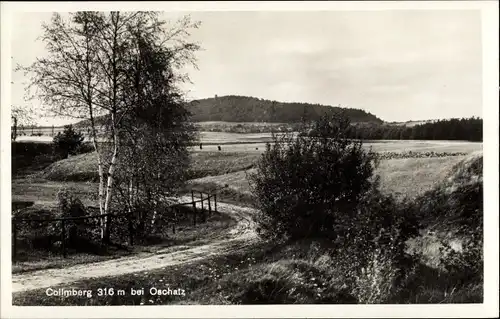 Ak Collmberg Collm Wermsdorf Sachsen, Panorama mit Feldweg