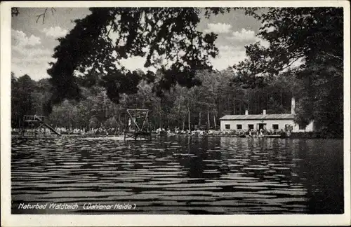 Ak Dahlen in Sachsen, Naturbad Waldteich in der Dahlener Heide