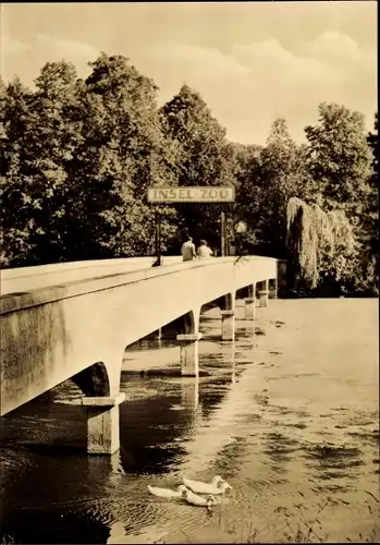 Ak Altenburg in Thüringen, Insel-Zoo, Brücke, Enten