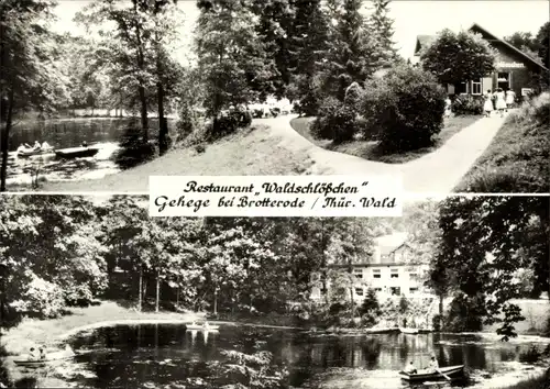 Ak Brotterode in Thüringen, Restaurant Waldschlösschen, Gehege, Teich