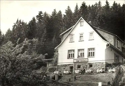 Ak Heubach Masserberg in Thüringen, Cafe Heubach