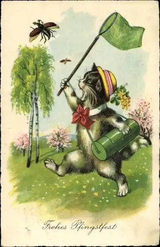 Ak Glückwunsch Pfingsten, Vermenschlichte Katze fängt Maikäfer